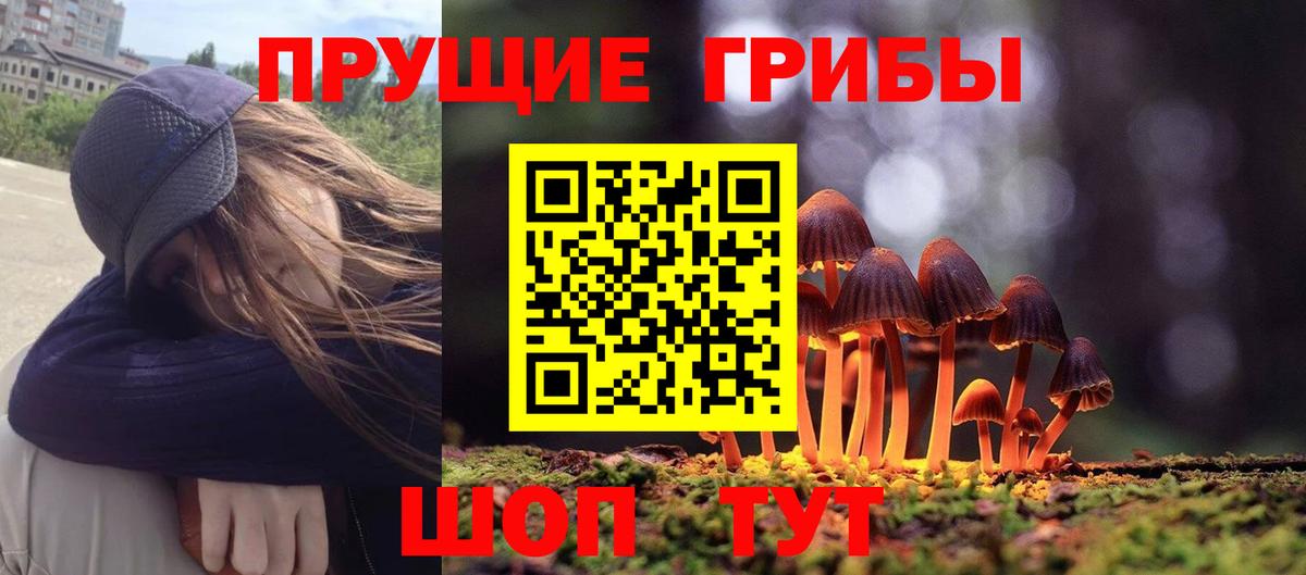 Псилоцибиновые грибы прущие грибы  Вход с VPN  Калач-на-Дону 